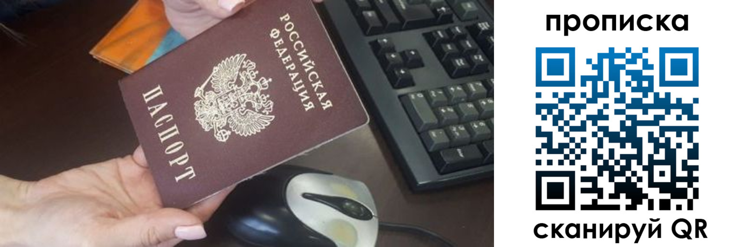 прописка гарантия в Сухиничи
